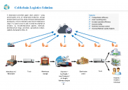 Cold Chain Logistics Solutions