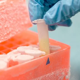How Blast Freezers Work In The Pharmaceutical Industry