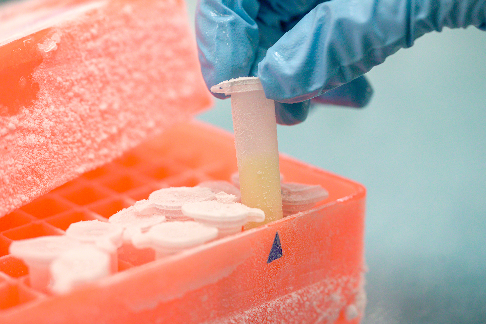 How Blast Freezers Work In The Pharmaceutical Industry