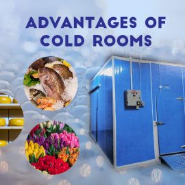 Advantages of Cold Rooms