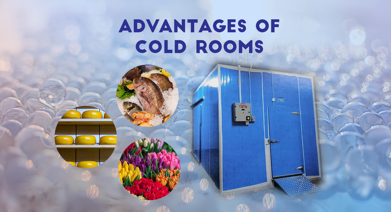 Advantages of Cold Rooms