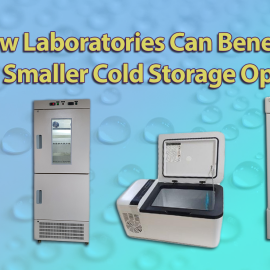 How Laboratories Can Benefit from Smaller Cold Storage Options