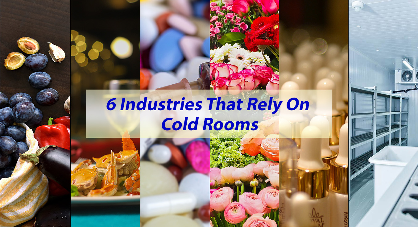 6 Industries That Rely On Cold Rooms