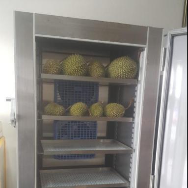 durians in blast freezer