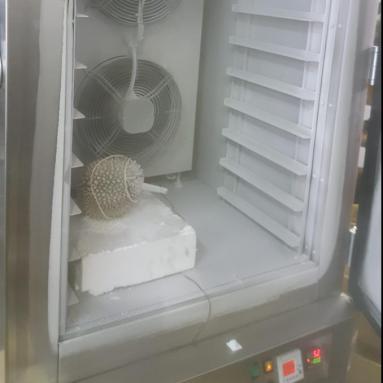 frozen durian in blast freezer